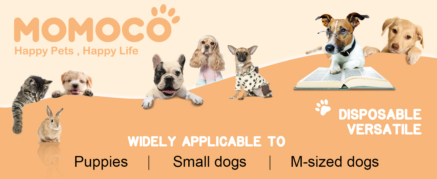 MoMoCo 23×23 Pink Puppy Pads 100 Count, 6-Layer Dog Pee Pads for Small Dogs
