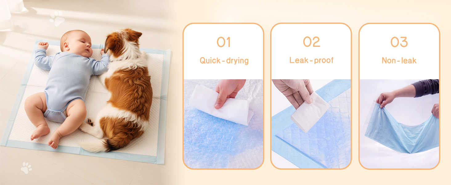 MoMoCo Puppy Pads 23×23, 6-Layer Super Absorbent Dog Pee Pads, 100 Count