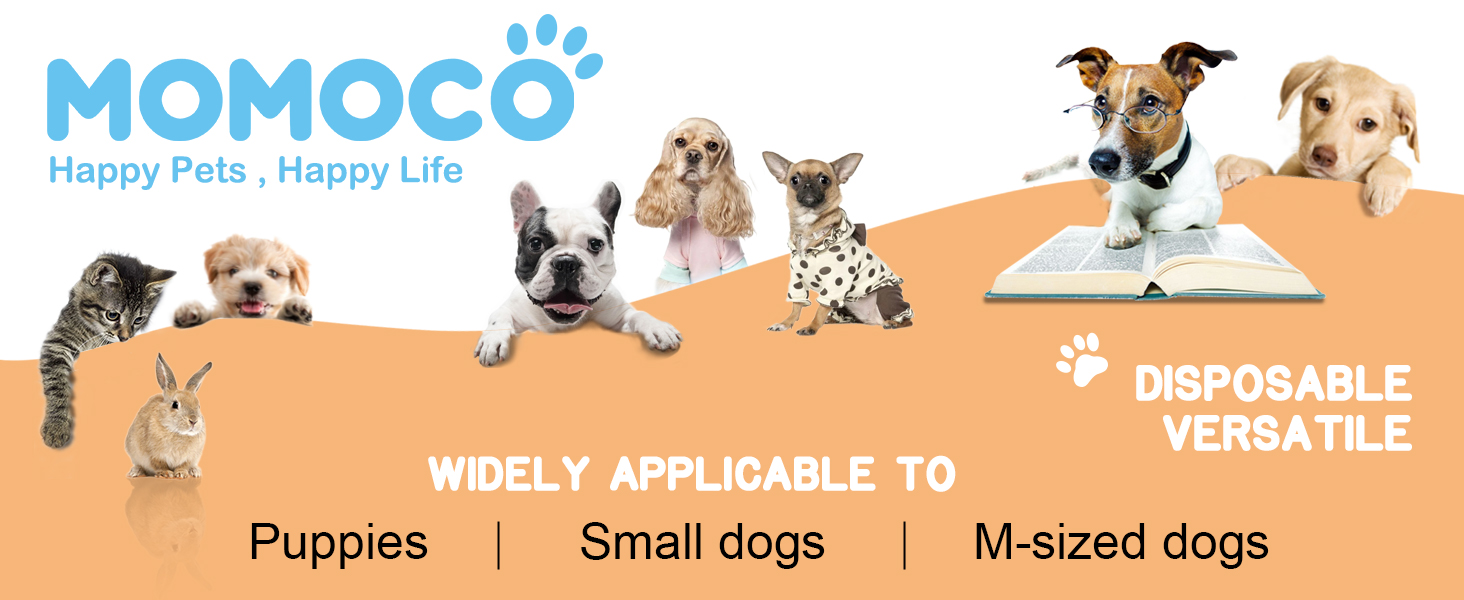 MoMoCo Puppy Pads 23×23, 6-Layer Super Absorbent Dog Pee Pads, 100 Count